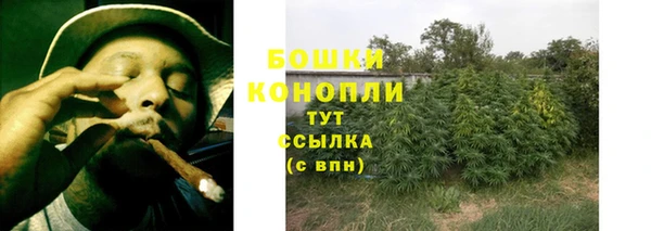 ECSTASY Богородск