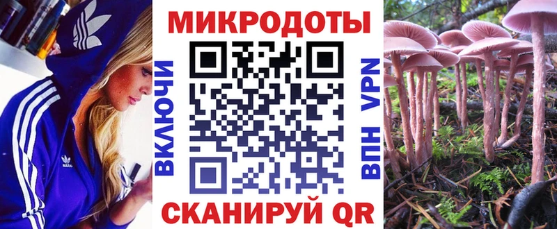 купить наркотики цена  Саяногорск  Галлюциногенные грибы Cubensis 