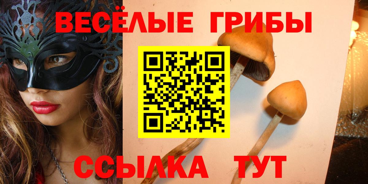 Галлюциногенные грибы GOLDEN TEACHER  Вход с VPN  Саяногорск  Галлюциногенные грибы мицелий 