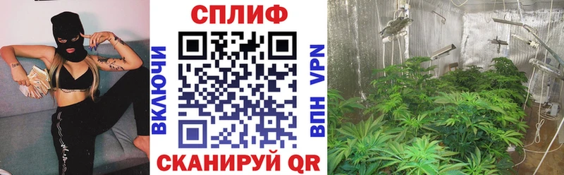 цены наркотик  Саяногорск  Конопля Bruce Banner 